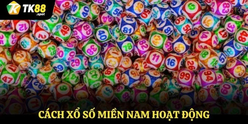 Xổ Số Miền Nam TK88 - Sổ Ngay Trong Ngày Có Tiền Liền Tay 3 Cách xổ số miền Nam hoạt động