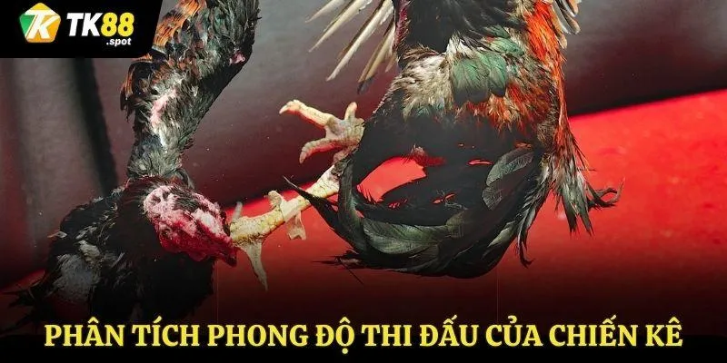 Chia Sẻ Kinh Nghiệm Đá Gà - Thu Về Lợi Nhuận Từ Sân Chơi Tk88 3 Phân tích phong độ thi đấu của chiến kê