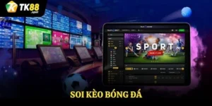 soi kèo bóng đá