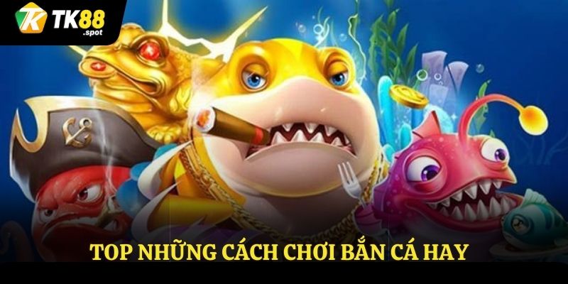 Những mẹo săn cá hiệu quả 